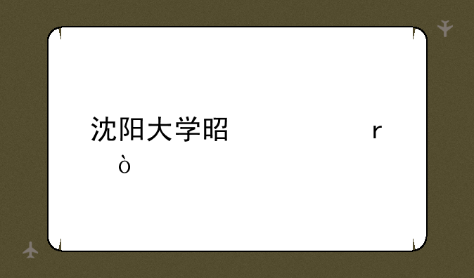 沈阳大学是几本？