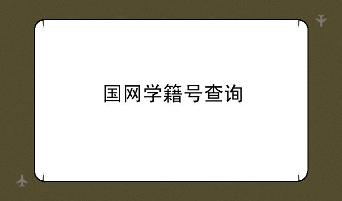 国网学籍号查询