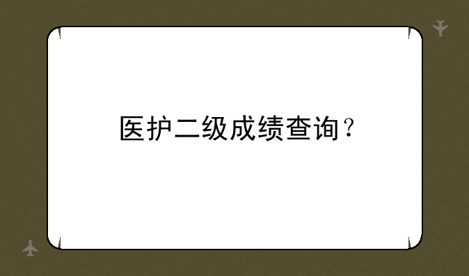 医护二级成绩查询？
