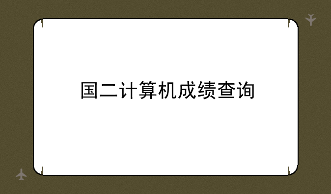 国二计算机成绩查询