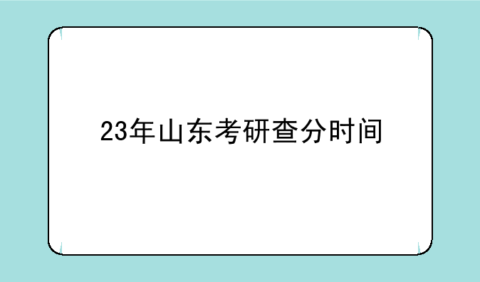 23年山东考研查分时间