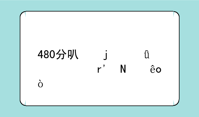 480分可的211大学有哪些？