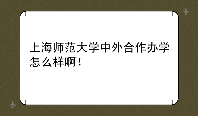 上海师范大学中外合作办学怎么样啊！