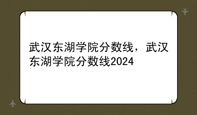 武汉东湖学院分数线，武汉东湖学院分数线2024